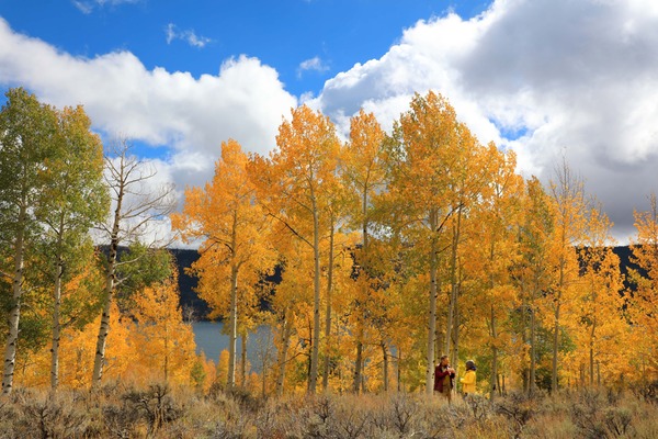 イントゥ・ザ・ネイチャー 自然が教えてくれること 14枚目の写真・画像