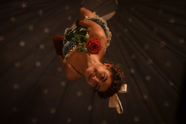 フリークスアウト 13枚目の写真・画像