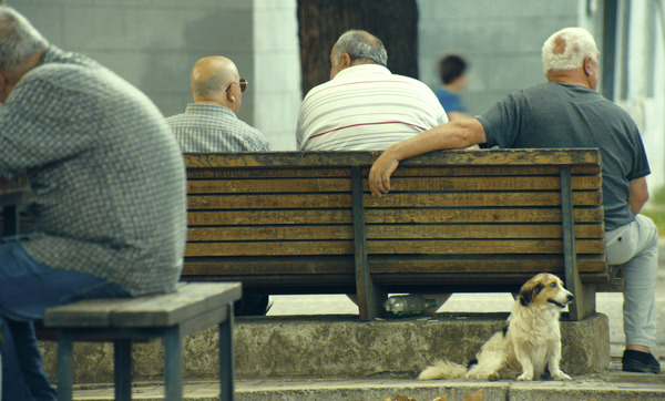 ジョージア、白い橋のカフェで逢いましょう 17枚目の写真・画像