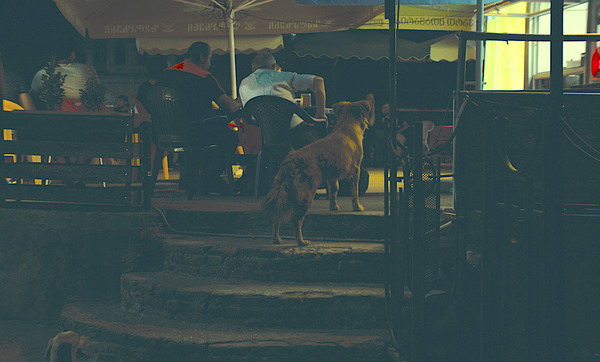 ジョージア、白い橋のカフェで逢いましょう 23枚目の写真・画像