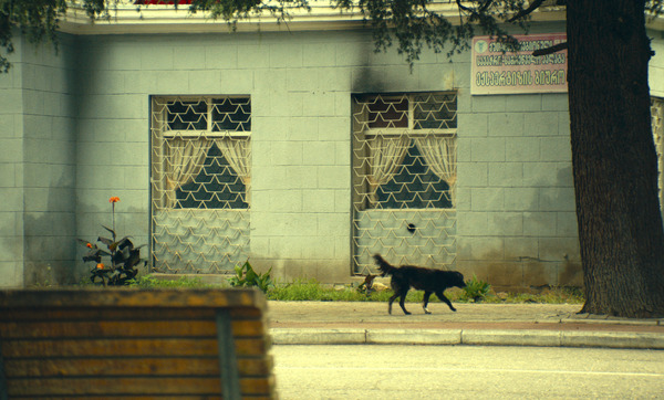 ジョージア、白い橋のカフェで逢いましょう 24枚目の写真・画像