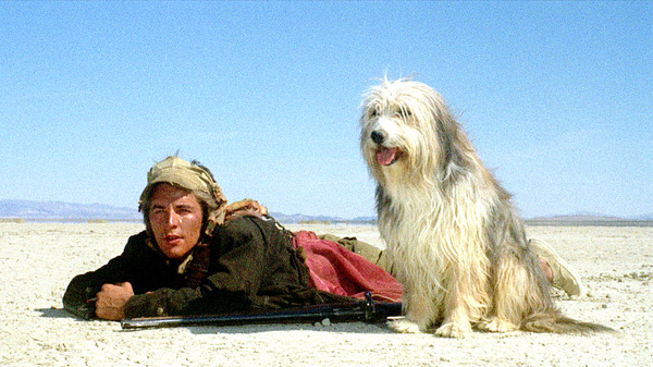 少年と犬 2枚目の写真・画像