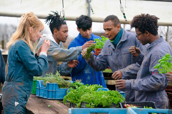 ウィ、シェフ！ 4枚目の写真・画像
