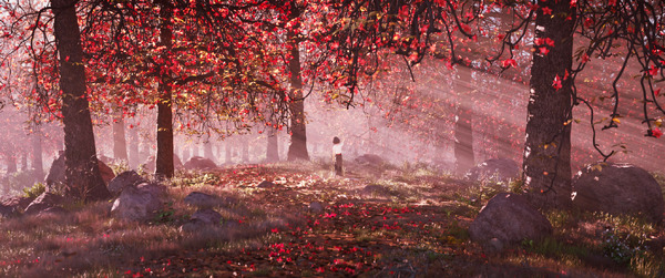 雄獅少年／ライオン少年 11枚目の写真・画像