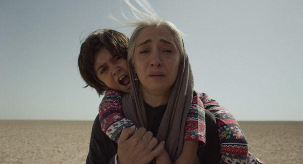 君は行く先を知らない 11枚目の写真・画像