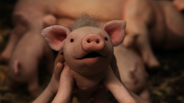 愛しのクノール 7枚目の写真・画像