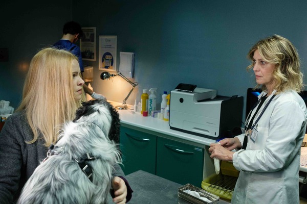 私たちの声 9枚目の写真・画像