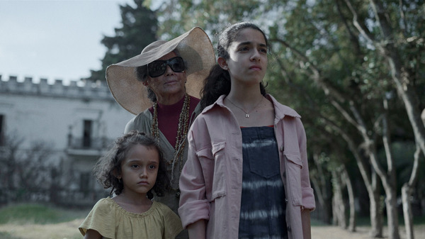 イビルアイ 6枚目の写真・画像