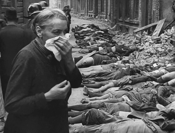 破壊の自然史 4枚目の写真・画像