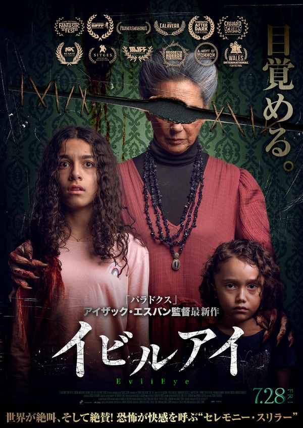 イビルアイ 1枚目の写真・画像