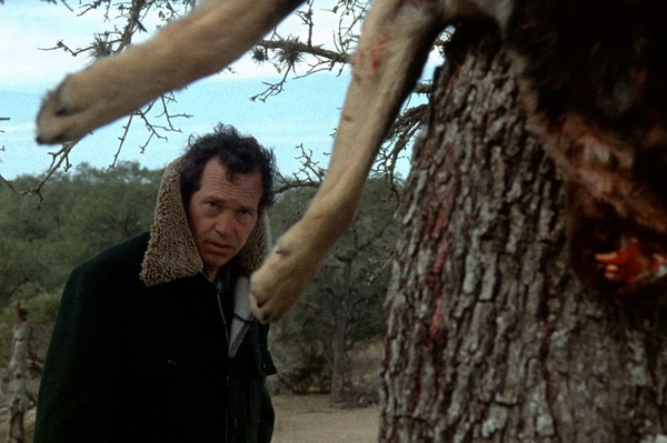 悪魔の追跡 4枚目の写真・画像