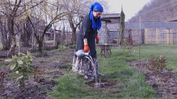 アダミアニ 祈りの谷 2枚目の写真・画像