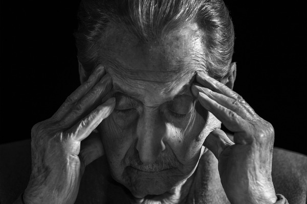 メンゲレと私 2枚目の写真・画像