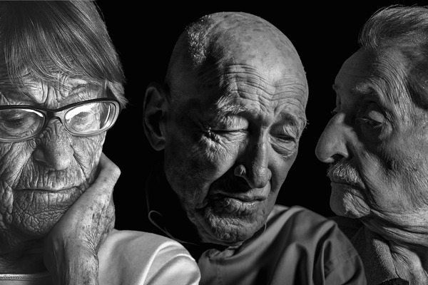 メンゲレと私 4枚目の写真・画像