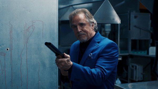 ハイ・ヒート その女諜報員 4枚目の写真・画像