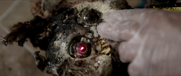 ハウス・バウンド 6枚目の写真・画像