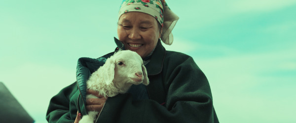 草原に抱かれて 8枚目の写真・画像