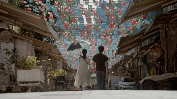 ⾵のゆくえ 2枚目の写真・画像