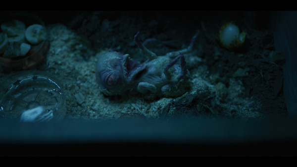 イビルアイ 14枚目の写真・画像