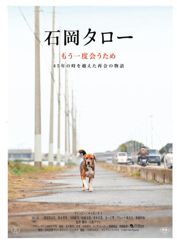 石岡タロー 1枚目の写真・画像