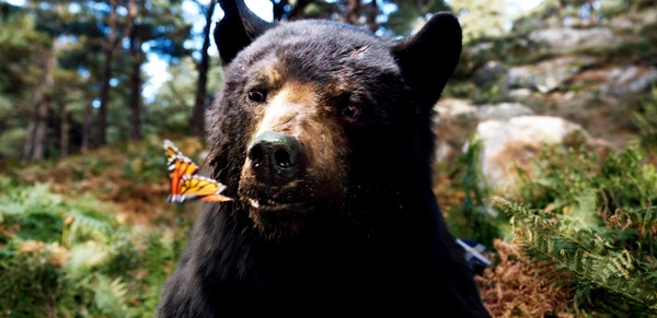 コカイン・ベア 2枚目の写真・画像