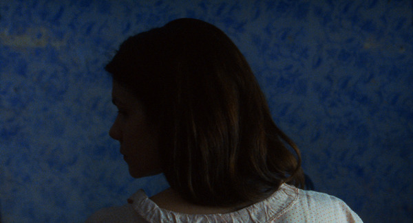 栗の森のものがたり 10枚目の写真・画像