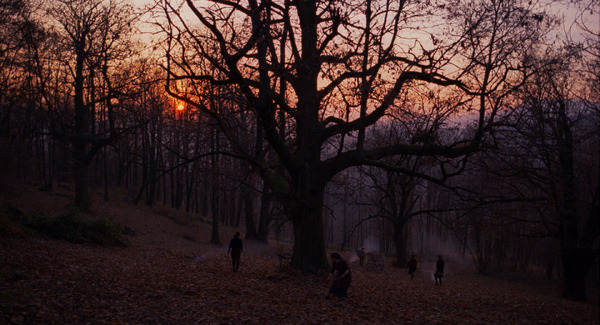 栗の森のものがたり 11枚目の写真・画像