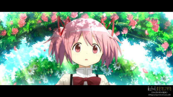 劇場版 魔法少女まどか☆マギカ〈ワルプルギスの廻天〉 9枚目の写真・画像