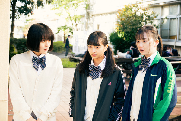 イルカはフラダンスを踊るらしい 2枚目の写真・画像