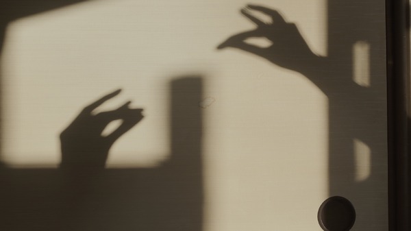 曖昧な楽園 2枚目の写真・画像