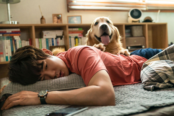 マイ・ハート・パピー 4枚目の写真・画像