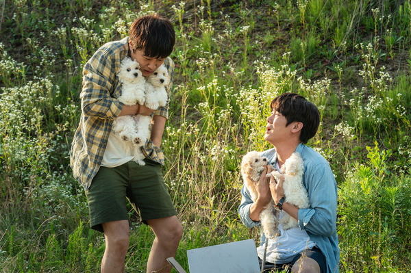 マイ・ハート・パピー 8枚目の写真・画像