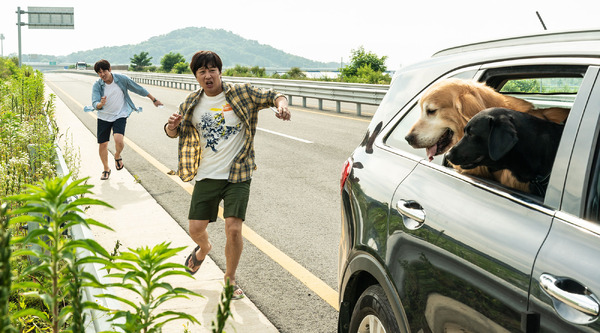 マイ・ハート・パピー 9枚目の写真・画像