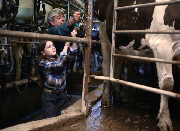 コット、はじまりの夏 6枚目の写真・画像