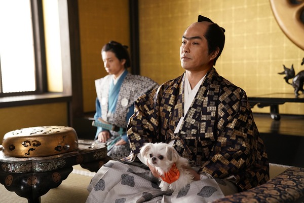 身代わり忠臣蔵 11枚目の写真・画像