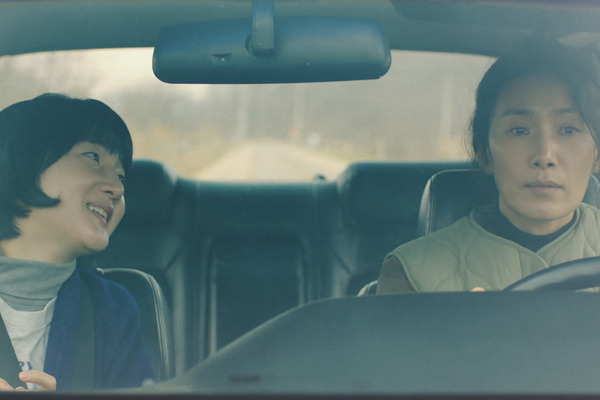 ビニールハウス 8枚目の写真・画像