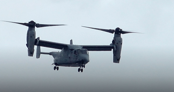 沖縄狂想曲 2枚目の写真・画像