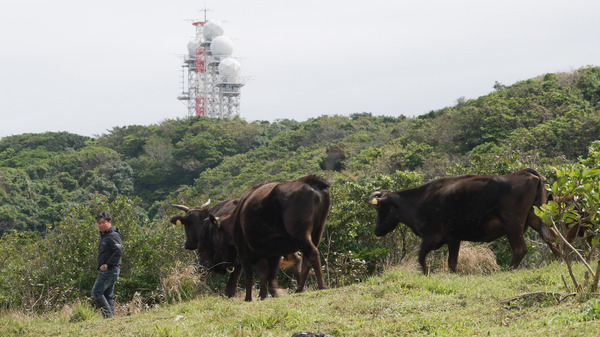 戦雲（2024） 3枚目の写真・画像