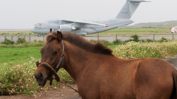 戦雲（2024） 6枚目の写真・画像