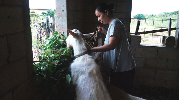 戦雲（2024） 7枚目の写真・画像