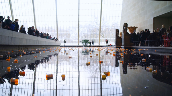 美と殺戮のすべて 3枚目の写真・画像