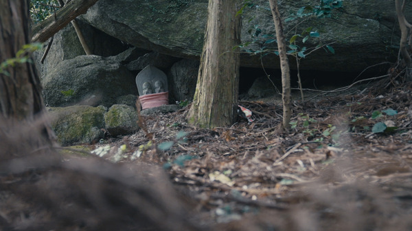 正義の行方 4枚目の写真・画像