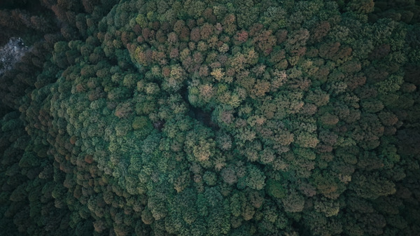 正義の行方 11枚目の写真・画像