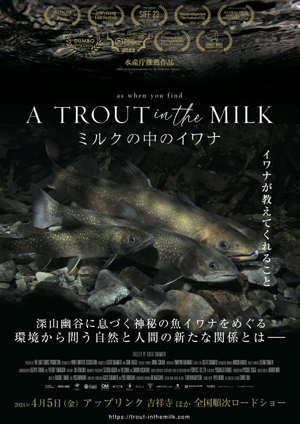 ミルクの中のイワナ 1枚目の写真・画像