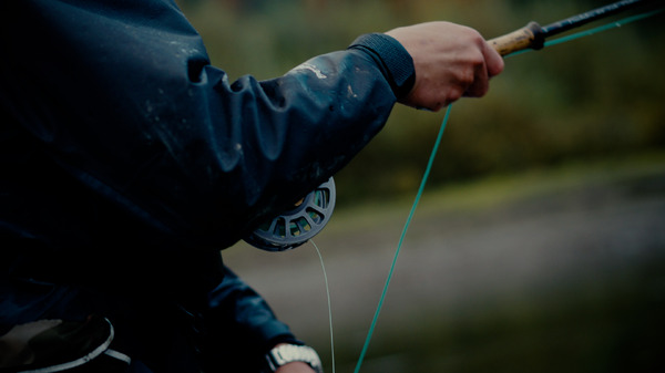 ミルクの中のイワナ 4枚目の写真・画像