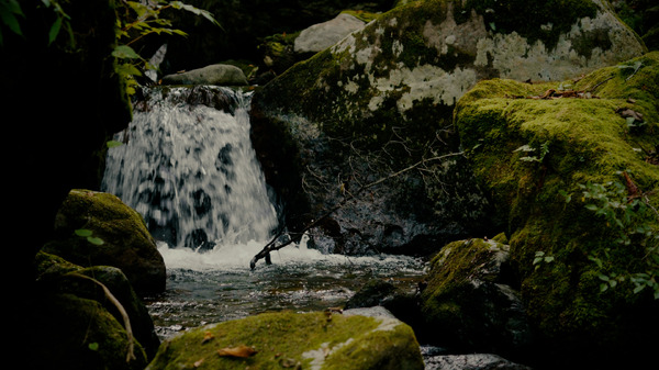 ミルクの中のイワナ 5枚目の写真・画像