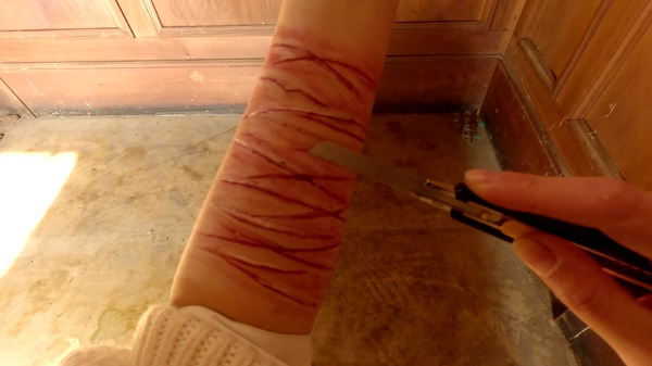 FPS 7枚目の写真・画像