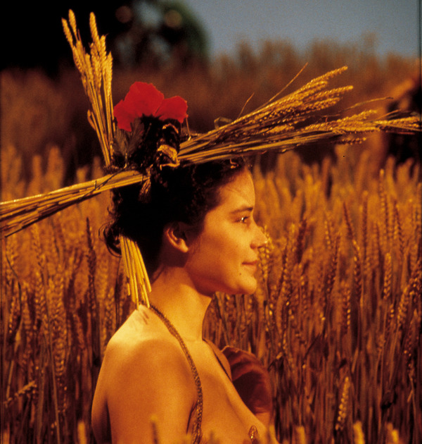 プロスペローの本 7枚目の写真・画像