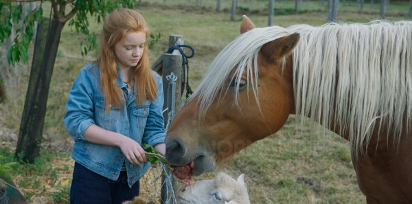 アニマル ぼくたちと動物のこと 6枚目の写真・画像