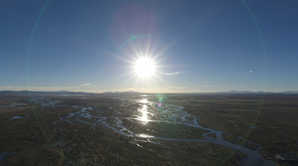 劇場版 再会長江 16枚目の写真・画像